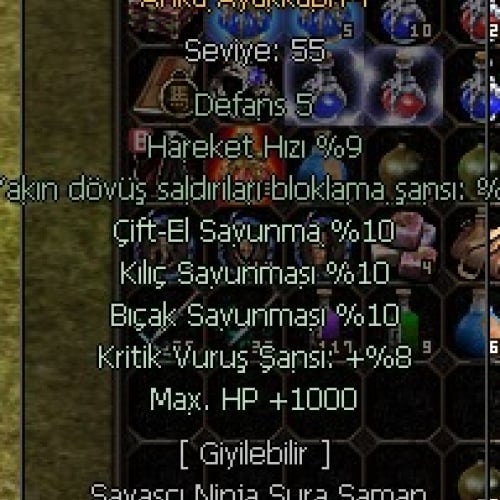  +5 ANKA AYAKAKBI 1 K HP 8 KRİTİK 10 KILIÇ 10 ÇİFT EL 10 BIÇAK pm:BySpeciaL